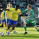 Bohemians - Zlín 1:0 (1:0)