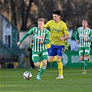 Bohemians - Zlín 1:0 (1:0)