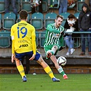 Bohemians - Zlín 1:0 (1:0)