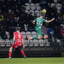 Bohemians - Pardubice 2:0 (1:0)