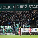 Bohemians - Pardubice 2:0 (1:0)