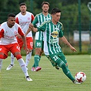 Hallescher - Bohemians 2:2 (0:1)