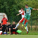 Hallescher - Bohemians 2:2 (0:1)