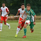 Hallescher - Bohemians 2:2 (0:1)