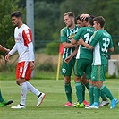 Hallescher - Bohemians 2:2 (0:1)