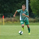 Hallescher - Bohemians 2:2 (0:1)