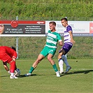 Ujpest - Bohemians 0:1 (0:1)