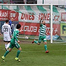 Bohemians - Karviná 2:0 (1:0)