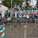 FC Zbrojovka Brno - Bohemians Praha 1905 0:1 (0:0)