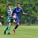 Bohemians - Jihlava 3:0 (1:0)