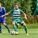 Bohemians - Jihlava 3:0 (1:0)