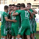 Bohemians - Karviná 4:0 (2:0)