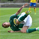 Bohemians 1905 - FC FASTAV Zlín 0:3 (0:2)