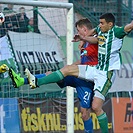 Bohemians Praha 1905 - FC Viktoria Plzeň 0:1 (0:1)