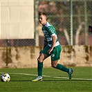 Lubin - Bohemians 1:1 (1:1)