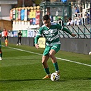 Bohemians - Mladá Boleslav 4:0 (1:0)