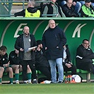 Bohemians - Mladá Boleslav 4:0 (1:0)