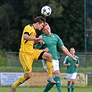 Bohemians 1905 - SK Dynamo Ceské Budějovice 2:3 (1:1)