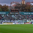 Bohemians Praha 1905 - FC Zbrojovka Brno 1:1 (0:0)