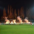 Bohemians 1905 - FK Pardubice 3:1 (1:0)