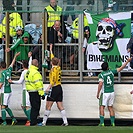 SK Dynamo České Budějovice - Bohemians Praha 1905 2:3 (1:0)