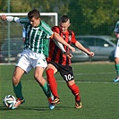 Bohemians Praha 1905 - FK Viktoria Žižkov 4:0 (2:0)