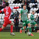 Bohemians - Pardubice 1:2 (0:1)