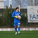 Radnički Niš - Bohemians 1:2 (1:1)