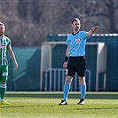 Bohemians - Slovácko 1:2 (1:1)