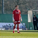 Bohemians - Slovácko 1:2 (1:1)