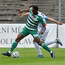 Mladá Boleslav - Bohemians 1:1 (1:1)