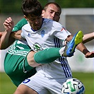 Mladá Boleslav - Bohemians 1:1 (1:1)