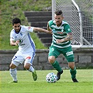 Mladá Boleslav - Bohemians 1:1 (1:1)