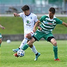 Mladá Boleslav - Bohemians 1:1 (1:1)