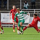 Bohemians - Třinec 2:1 (1:1)