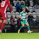 Bohemians - Třinec 2:1 (1:1)