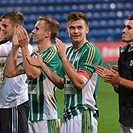 FC Fastav Zlín - Bohemians Praha 1905 1:1 (1:0)