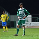 Bohemians - Teplice 2:0 (1:0)