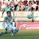 Bohemians Praha 1905 - FC Vysočina JIhlava 1:1 (0:0)