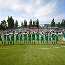 Bohemians Praha 1905 - 1. FC Slovácko 2:1 (2:0)