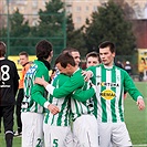 Bohemians 1905 - Příbram 1:0