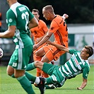 Bohemians - Mladá Boleslav 4:0 (2:0)