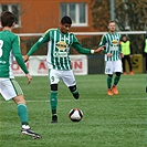 Bohemians Praha 1905 - FC Hradec Králové 2:1 (1:0)