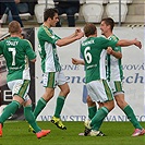 FC Vysočina Jihlava - Bohemians Praha 1905 1:2 (1:1)