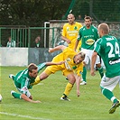 Bohemians 1905 - Baník Sokolov 1:1