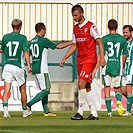 Bohemians Praha 1905 - FK Pardubice 2:1 (0:1)