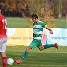 Povltavská fotbalová akademi - Bohemians B 1:2 (1:1)