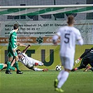 Bohemians Praha 1905 - 1. FK Příbram 2:2 (1:0)