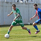 Plzeň - Bohemians 1:1 (1:1)