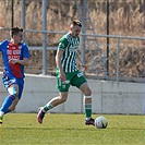 Plzeň - Bohemians 1:1 (1:1)